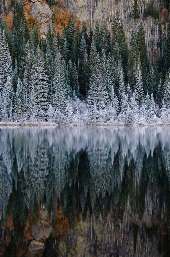 December's Playlist