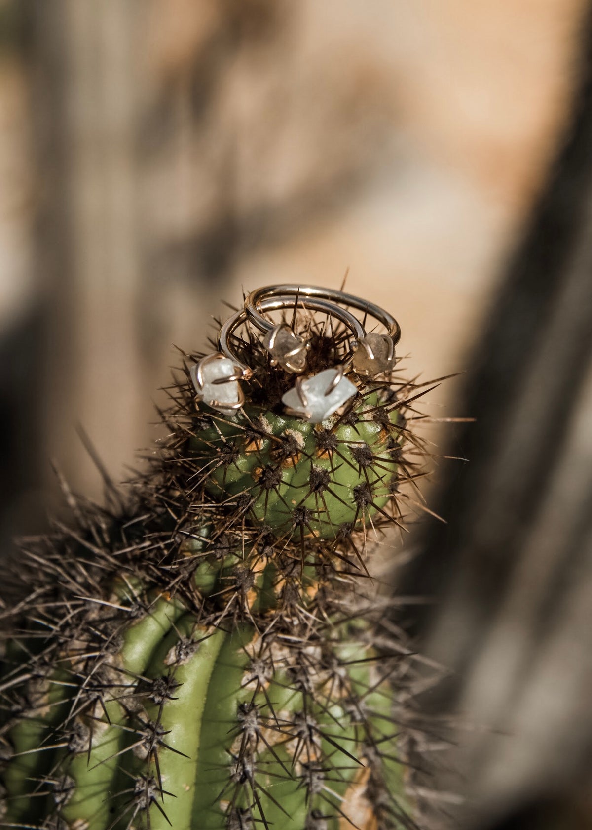 2 Stone Cuff Ring - The Pretty Eclectic