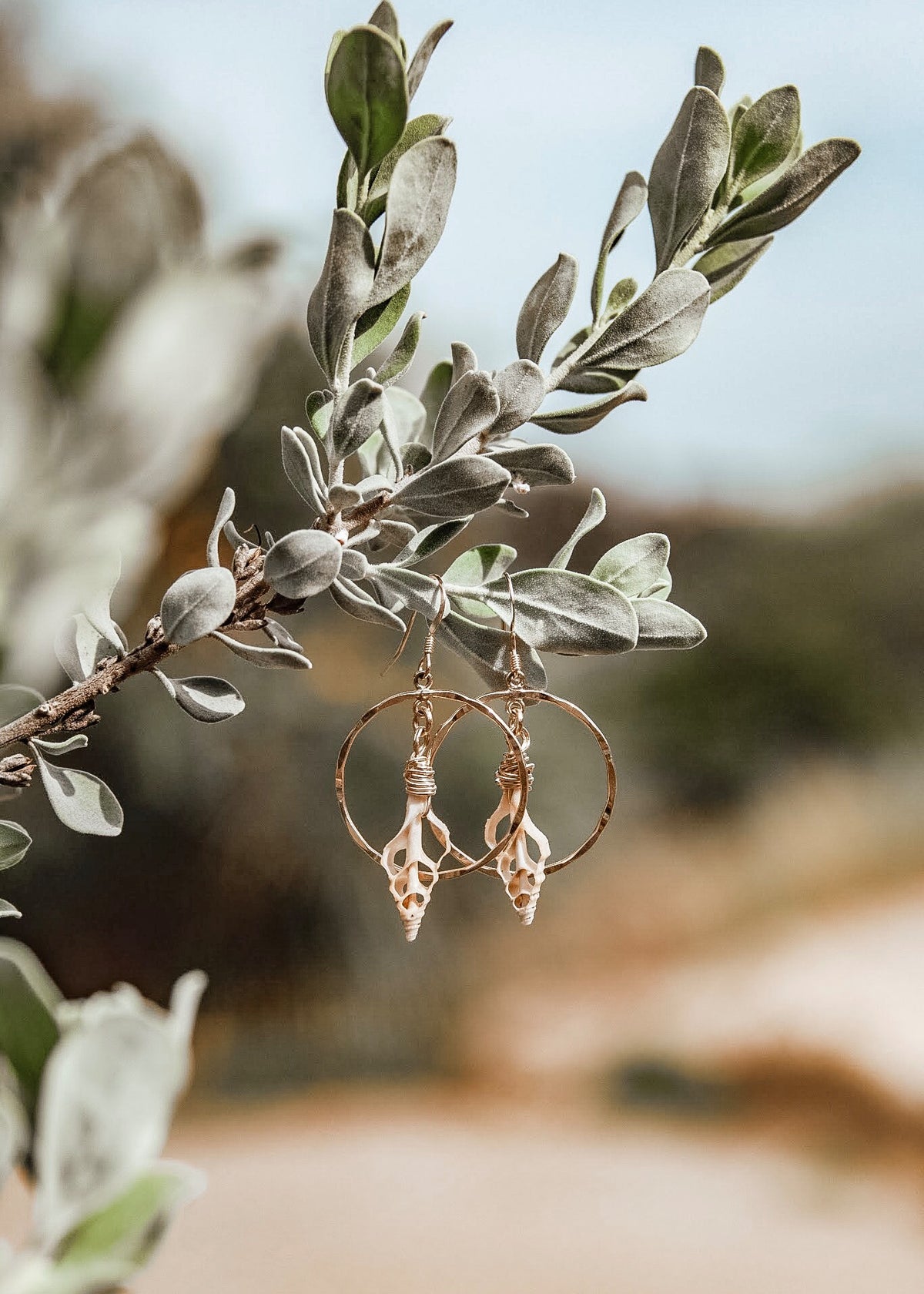 Spindle Shell Earrings - The Pretty Eclectic