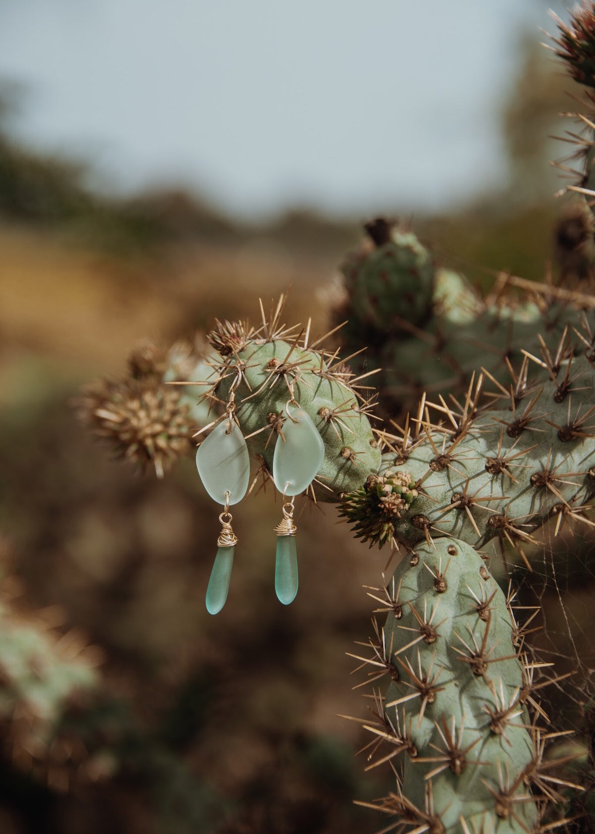 Sea is life Earrings - The Pretty Eclectic