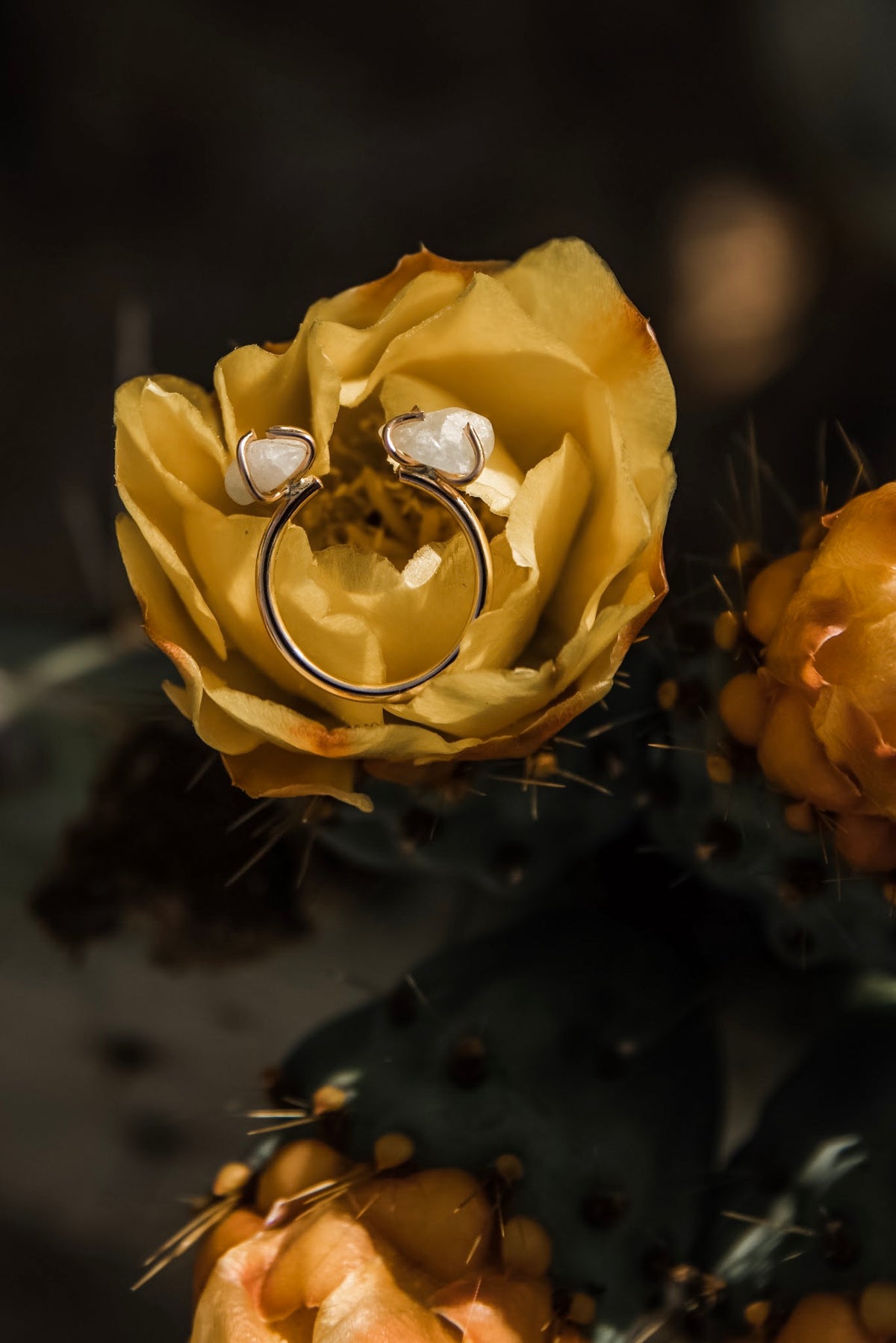 2 Stone Cuff Ring - The Pretty Eclectic